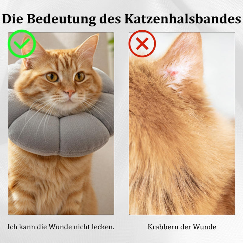 Pack of 2 Cat Neck Collar, Lick Protection, Adjustable Cat Collar, Cat Collar with Comfort Design, Soft Material for Day and Night Use, Lightweight and Breathable for Cats
