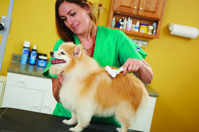 Andis 65735 Flexible Single Row Dog Brush - Removes Unwanted Shedding Hair with 360 Rotating or 13 Long Teeth - Promotes Healthy Skin & Glowing Coat - Ideal for Small to Medium Dogs - White - PawsPlanet Australia