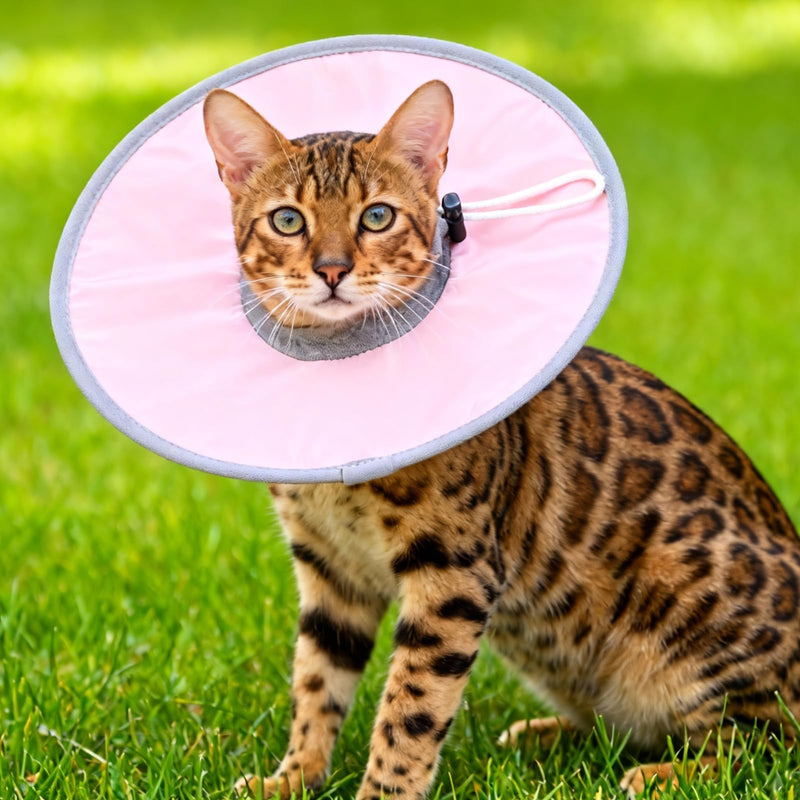 Elizabethan Collar, Cat Cone Collar Pet Cones Cat Recovery Neck Donut Waterproof Adjustable Soft (Polyester, XL, Pink) for Cats Small Dogs After Protective