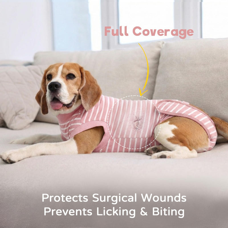 Dog Surgery Recovery Suit - Cotton Dogs Surgery Suit with Belly Pocket, Post Spay Dog Suits Fastening at Back End, Wound Protection Clothing After OP Body for Border Collie, Pink Stripe XL