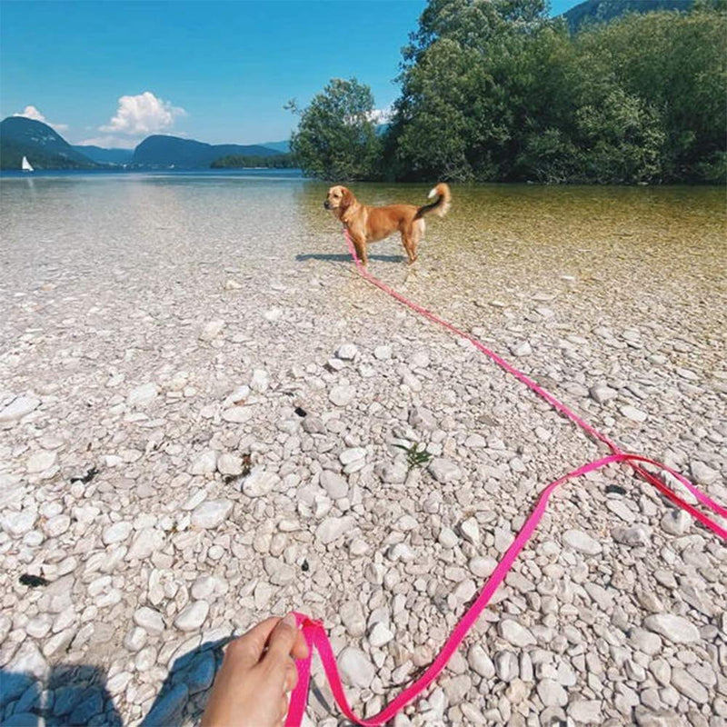 Long Dog Leash Waterproof Recall Training Lead Outdoor Long Line Great for Training, Beach, Play, Camping, or Backyard pink 30ft - PawsPlanet Australia