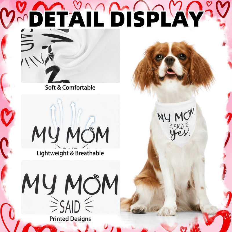 PUPTECK Engagement Dog Bandana with Dress Leash Set - PawsPlanet Australia