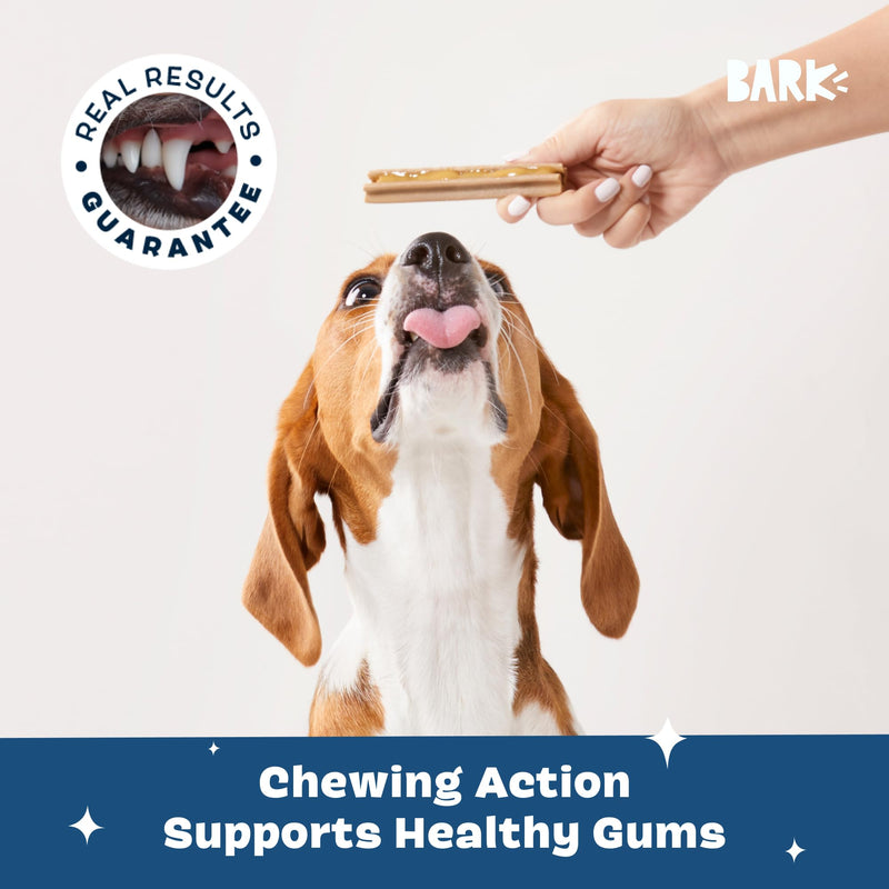 Barkbox Bright Original Dog Dental Kit, 30 Teeth Cleaning Chew Sticks & Toothpaste - Medium Breeds - PawsPlanet Australia