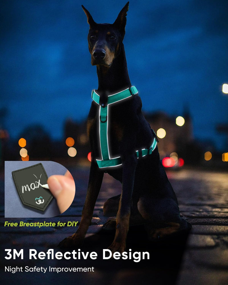 Premium Y-Shaped Dog Harness for Training & Daily Walk,No-Pull Adventure Harness with Handle & 3 Leash Hook Points,Durable Nylon (Turquoise, M (Neck 48-74cm, Chest 58-81cm)) Turquoise M (Neck 19″ - 27″, Chest 24″ - 30″) - PawsPlanet Australia