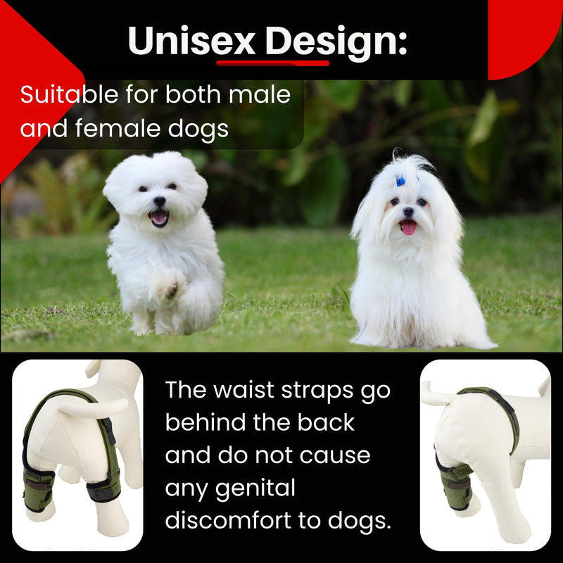 Dog Knee Brace for Male/Female Dogs - Neoprene Support Dog Leg Braces for Back Leg with Adjustable Straps and Belt - Torn ACL Hind Leg, Ligament Injury, Joint Pain and Stability (Medium, Left) Medium - PawsPlanet Australia