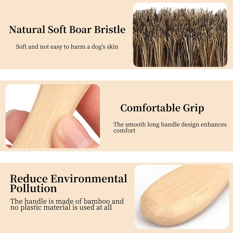 Soft Boar Bristle Dog Brush for Short Haired, Gentle Deshedding & Grooming Tool, Ideal Pet Hair Brush, Puppy Essentials for Grooming and Shedding, Small - PawsPlanet Australia