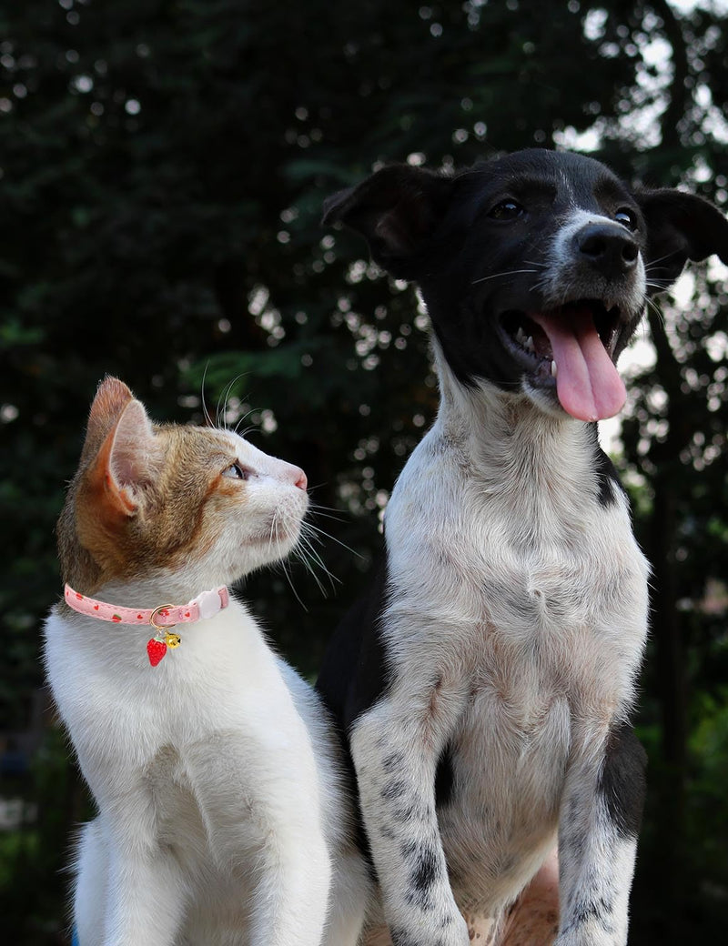 Cat Collar Breakaway with Bells,3 Pack Safety Adjustable Pet Collars,Ideal for Girl Boy Kittens. (Pink White Yellow) pink white yellow - PawsPlanet Australia