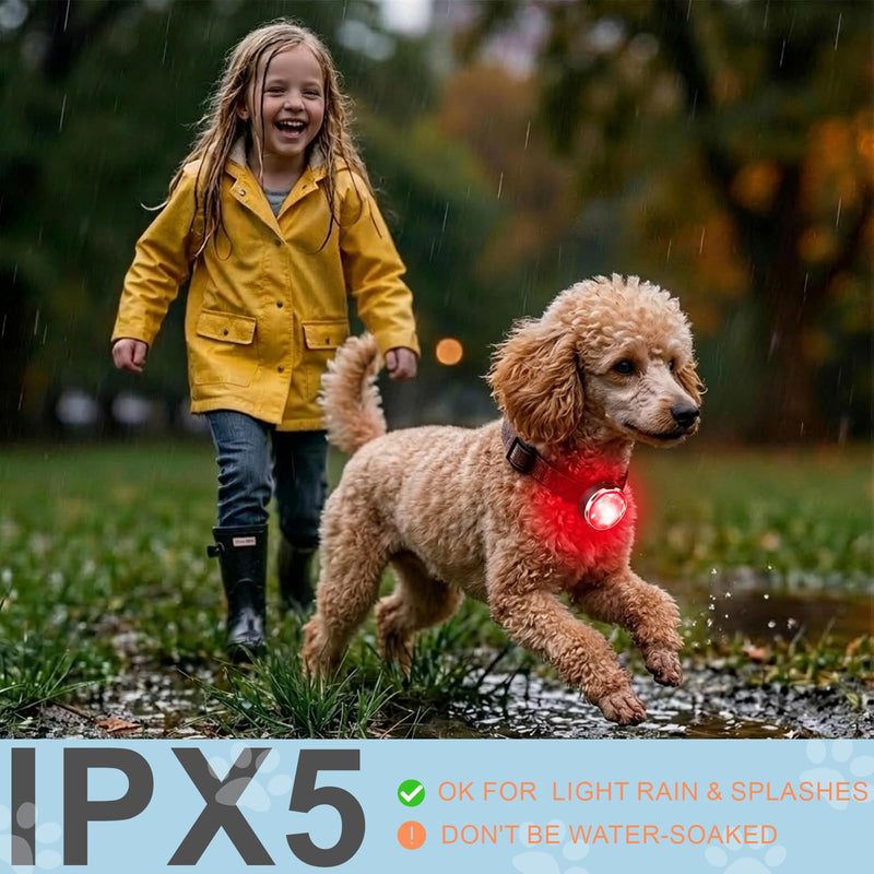 2-Pack Dog Collar Lights, Yesbular USB-C Rechargeable Dog Light Clip-On, Waterproof LED Pet Safety Light with Adjustable Silicone Strap for Night Walking, Camping(RGB 7-Color) RGB - PawsPlanet Australia