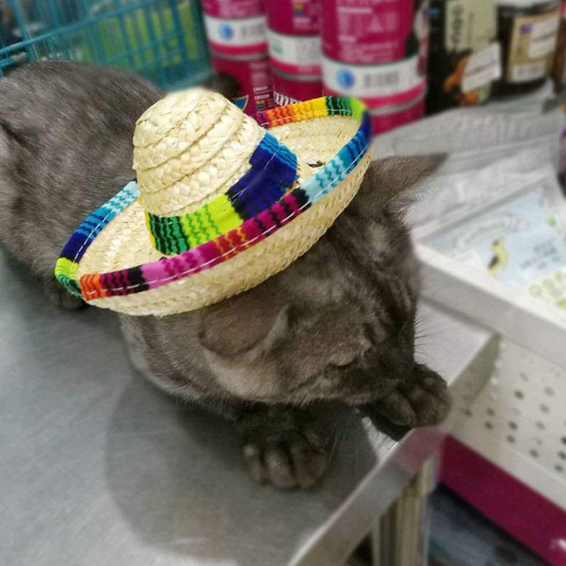 Dog & Cat Straw Sombrero Hat, Mini Mexican Hats, One Size Fits All, Lightweight, Multi-Use Pet Apparel