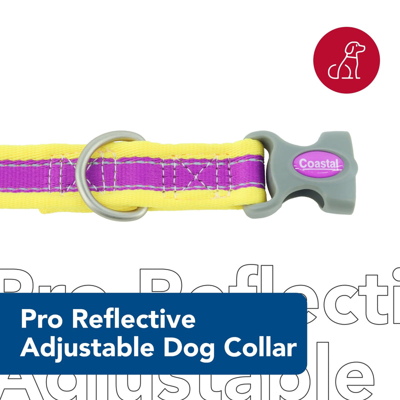 Coastal Pet - Pro - Reflective Adjustable Dog Collar, Purple with Yellow, 1" x 14-20" 1" x 14-20" (Pack of 1) - PawsPlanet Australia