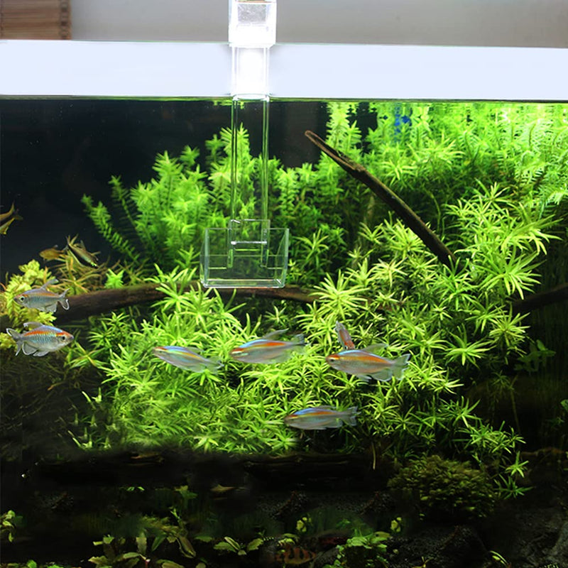 Shrimp Fish Feeding Dish, Aquarium -Sky Restaurant- Betta Feeding - Prevent Food Spilling, Fish Feeder, Also Easy to Clean Up The Food Left Over, African Feeding, Dwarf Frogs Feeding S - PawsPlanet Australia