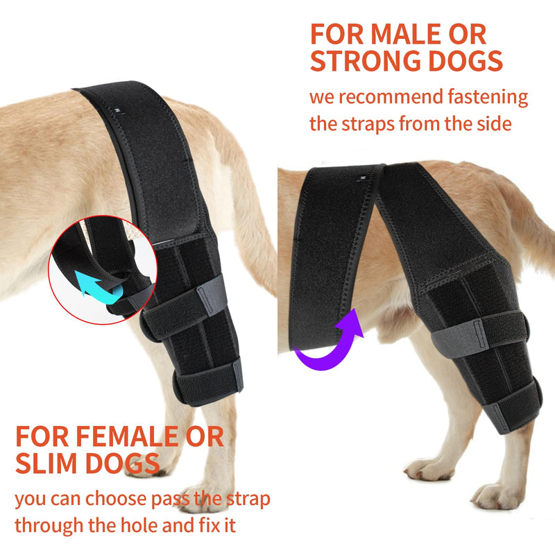 Dog Knee Brace, Acl Knee Brace for Dogs Hind Leg with Cruciate Ligament Injury,Joint Pain and Muscle Sore,Adjustable Dog Rear Leg Brace Support for Patella Dislocation,Pet Knee Brace (Medium) Medium - PawsPlanet Australia
