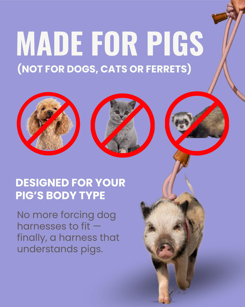 Mini Pig Harness & Leash (S/M) - Fully Adjustable, Infinity Style Lead, Step-in Harness, Potbelly Supplies, All-in-One - Ideal for Small & Medium Pet Pigs (Small, Eggshell Blue) S/M