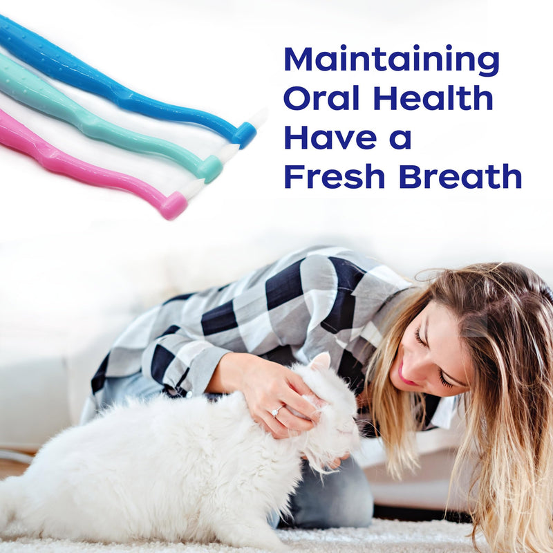 Dual Sided Cat Toothbrush Dog Toothbrush Finger Brush Micro Head, Suitable for Small to Large Dogs & Cats (White, Small) White 1 Count (Pack of 10) - PawsPlanet Australia