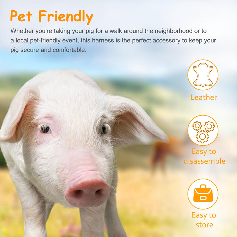 Mini Pig Harness & Leather, Pet Pig Supplies, Adjustable Rope (9 inches Long -1/2 inches Diameter), Suitable for Small and Medium-Sized Pet Pigs(Blue) Blue - PawsPlanet Australia