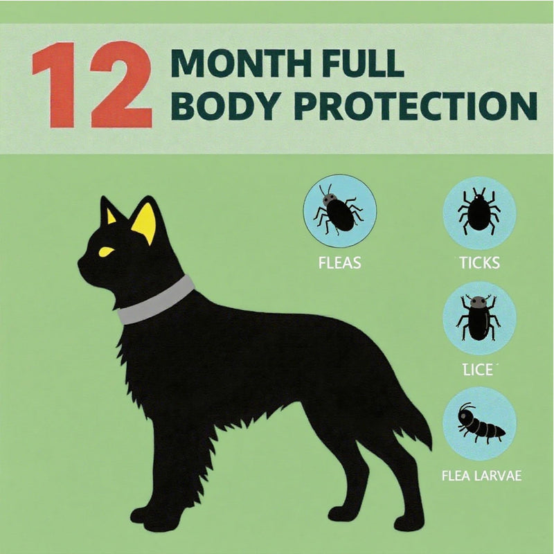 Flea and Tick Collar for Cats,12-Month Protection, Natural Ingredients, Waterproof & Adjustable,Includes Flea Comb & Tick Removal Tool,2 Pack - PawsPlanet Australia