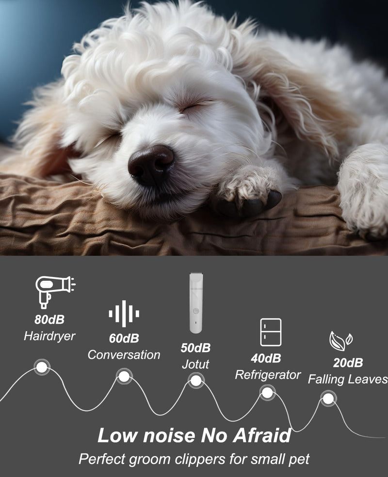 Small Dog Electric Clippers for Grooming Cordless Low Noise for Trimming Pet's Hair 4 in 1 Quiet Cordless Small Dog Paw Trimmer Nail Grinder Shaver for Small Pets - PawsPlanet Australia