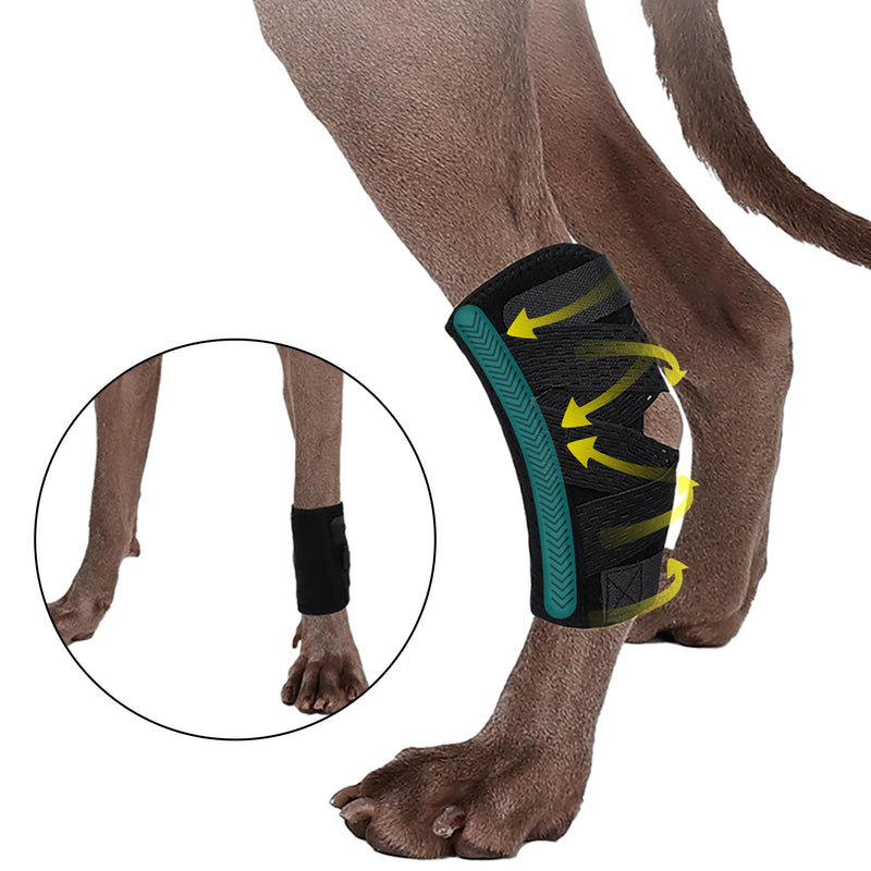 Dog Leg Braces, Dog Hock Joint Brace with Two Metal Spring Inserts, Dog Hock Splint for Fractures, Wound Healing, Sprains and Canine Arthritis (L/XL) L/XL