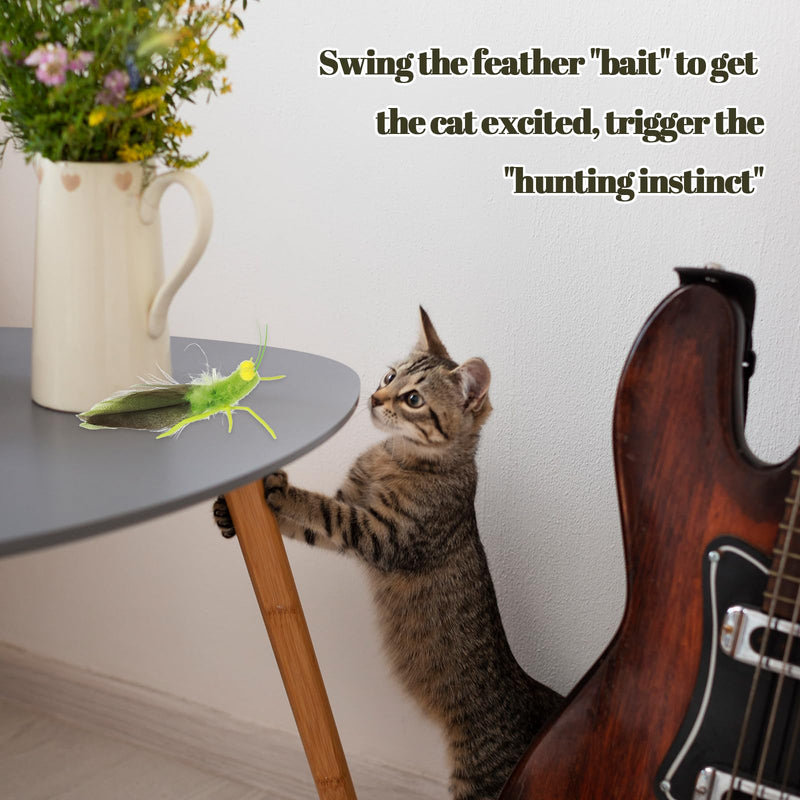 Cat Feather Toys Refills 3 Pack Insects Grasshopper Cat Toy Wand Fun Replacement Feathers Small Cats Interactive Toys Hanging Toy Attachments for Indoor Kittens Cats Teaser Wand Accessory - PawsPlanet Australia
