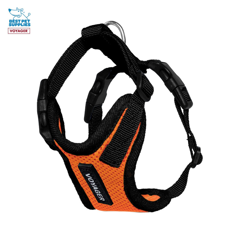 Voyager Step-in Lock Adjustable Cat Harness w. Cat Leash Combo Set with Neoprene Handle 5ft - Supports Small, Medium and Large Breed Cats by Best Pet Supplies - Orange/Black Trim, XXS (Pack of 2) - PawsPlanet Australia