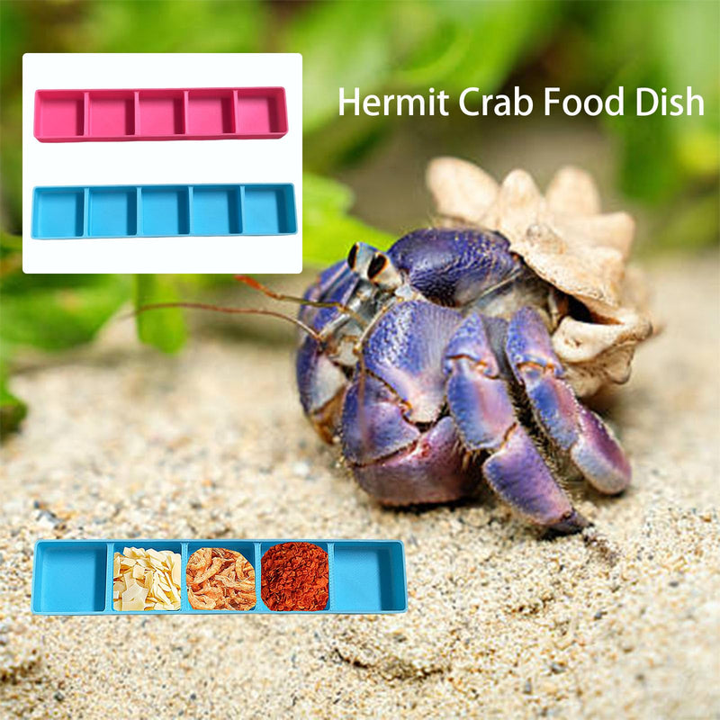 2 PCS Hermit Crab Food Dish, 5 Compartments Rectangle Food & Water Bowl, Hermit Crab Accessories (Pink, Blue) - PawsPlanet Australia