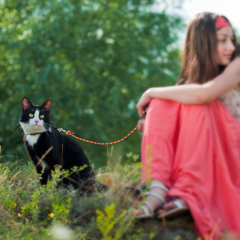 Rypet Reflective Cat Long Leash - 15 FT Escape Proof Walking Leads Yard Long Leash Durable Safe Personalized Extender Leashes Traning Play Outdoor for Kitten, Puppy, Rabbit and Small Animals Orange - PawsPlanet Australia