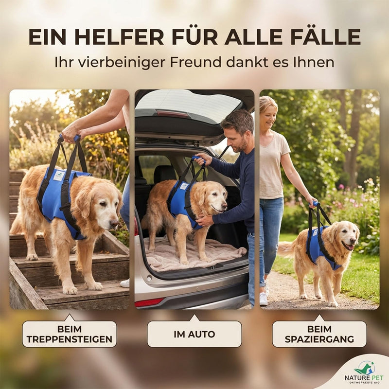 Pfaff medical dog carrier / lifting front harness for Elderly or Injured Dogs (large) L Black