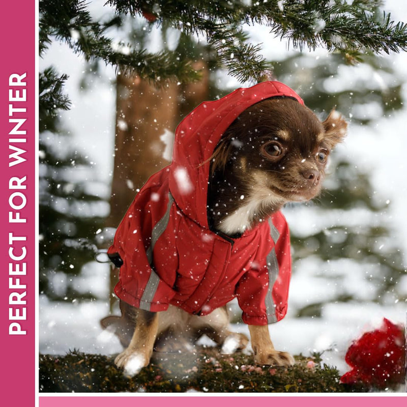 Pawbits Winter Jacket for Small Dogs - Fleece-Lined, Water Resistant, Reflective Coat with Hood for Dogs - Adjustable S, M, L, XL, XXL - Designed for Small Dogs X-Large Red - PawsPlanet Australia