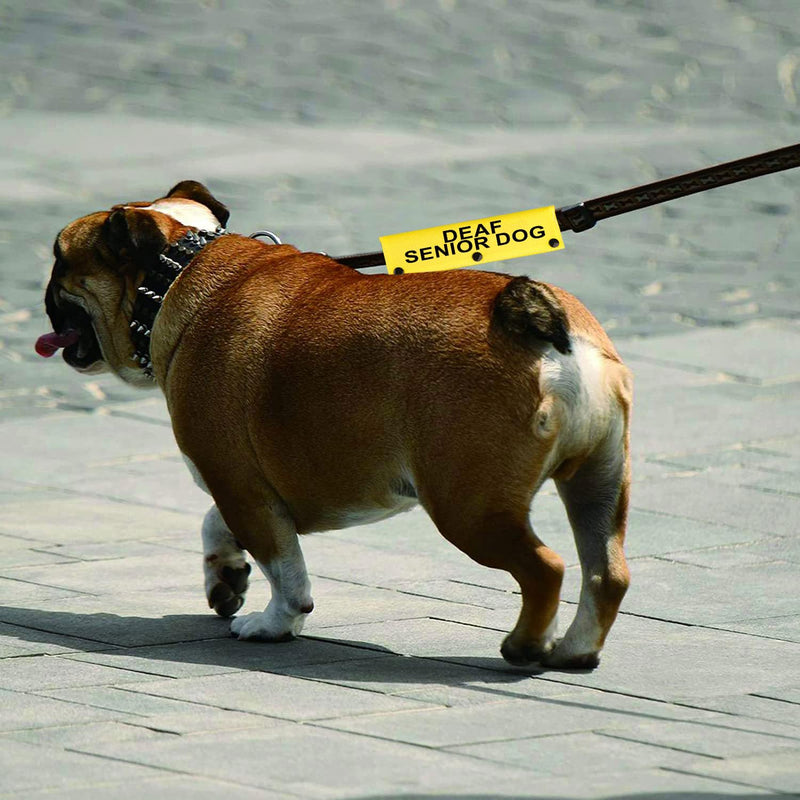 Hearing Impairment Dog Leash Sleeve Deaf Senior Dog Dog Leash Sleeve Use On Special Needs Dog (Deaf Senior Dog-YE Sleeve) Deaf Senior Dog-YE Sleeve - PawsPlanet Australia