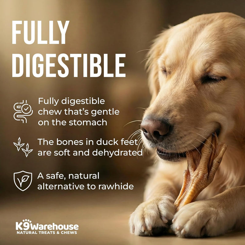 K9warehouse Duck Feet for Dogs – High Protein Dehydrated Dog Treats, Natural Crunchy Chews with Collagen, Glucosamine & Chondroitin for Joint & Hip Health, Dental Care, Small to Large Breeds (30 pcs) 30 Count - PawsPlanet Australia