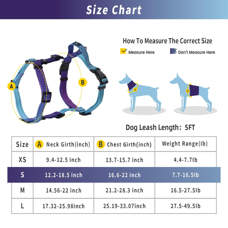 Roses&Poetry Small Dog Harness and Leash Set, No Pull Dog Harness Adjustable Reflective, Dog Halter Harnesses Comfort Padded Handle, Pet Harness for Training Outdoor Walking（Gsky-S S Violet