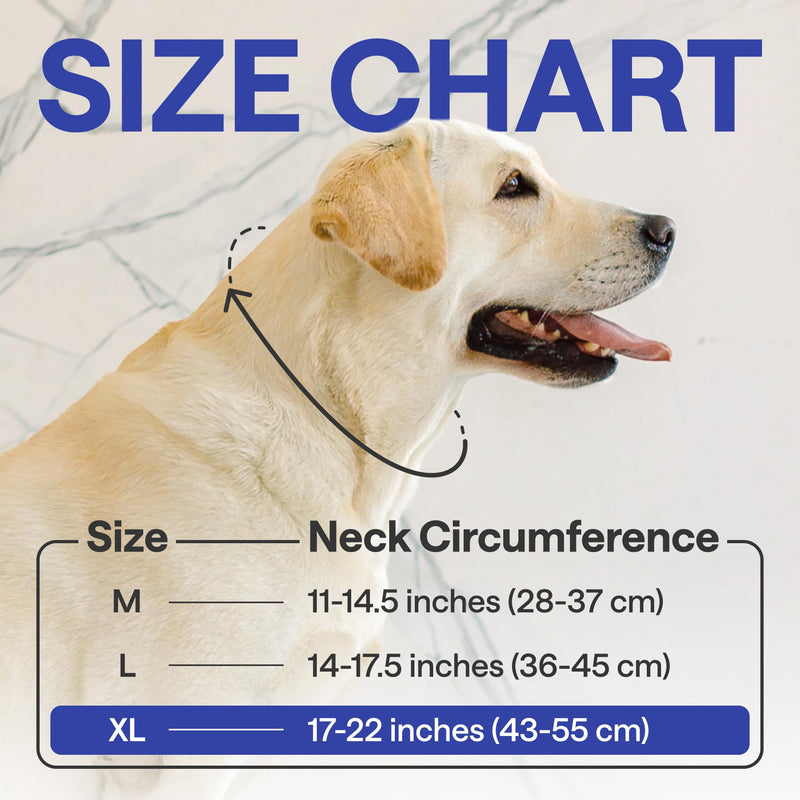 Dog Donut Collar After Surgery - Soft Dog Cone Collar - Inflatable Dog Cone Alternative to Cone of Shame - Dog Pillow Cone for Dogs to Stop Licking - Elizabethan Collar for Dogs - Dog Recovery Collar XL (Neck: 17"-22") - PawsPlanet Australia