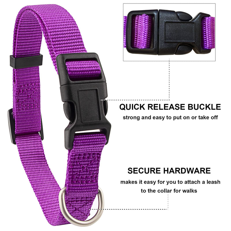Nylon Dog Collar and Leash Set - Classic Solid Colors for Small, Medium, Large Dogs (Purple, Collar 10-14", 5/8") Purple Small, Collar 10-14", 5/8" - PawsPlanet Australia