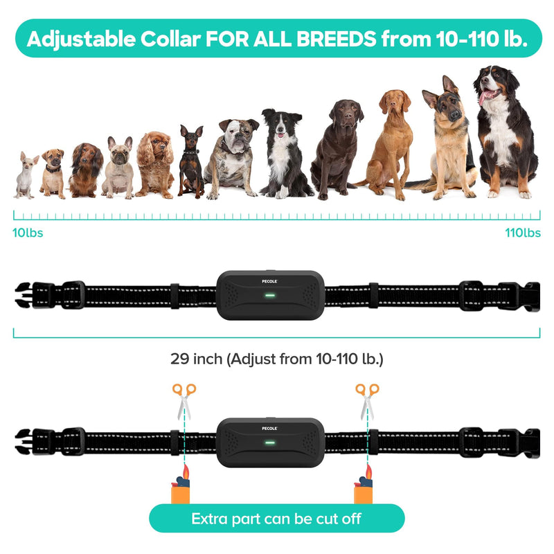 Dog Training Collar with Remote Control: IPX7 Waterproof Shock Collar for Dogs with 3 Training Modes, 99 Adjustable Levels, 1600FT Range, Rechargeable for Small to Large Dogs - PawsPlanet Australia