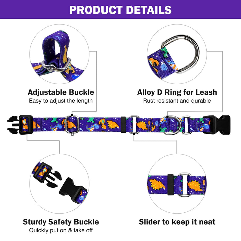 Hikiko Martingale Collar for Dogs Cute Dinosaur Dog Collar for Small Medium Large Dogs Comfortable Nylon Funny Dog Collars (Dinosaur,Large) - PawsPlanet Australia