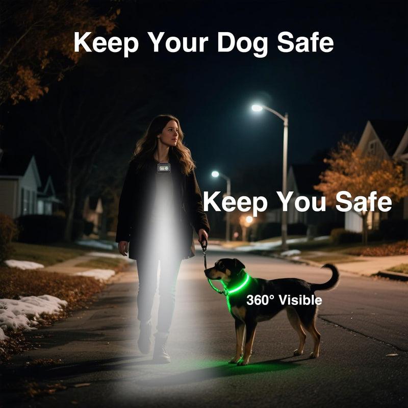2-Pack Dog Light Up Collar – 2 Rechargeable LED Collars+1 Running Light, Glow in The Night Necklace for Walking&Camping, Reflective&Waterproof, Safety for Dogs,Cats (Blue + Green) Blue + Green - PawsPlanet Australia