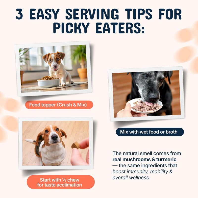 Pets are Kids Turkey Tail Mushroom for Dogs with Organic Real Turkey Tail™ - 8:1 Extract Mushroom Chews for Lumps & Bumps, Immunity, Gut, Skin, Joint & Spine Support - Reishi, Lion’s Mane - 120 Chews - PawsPlanet Australia