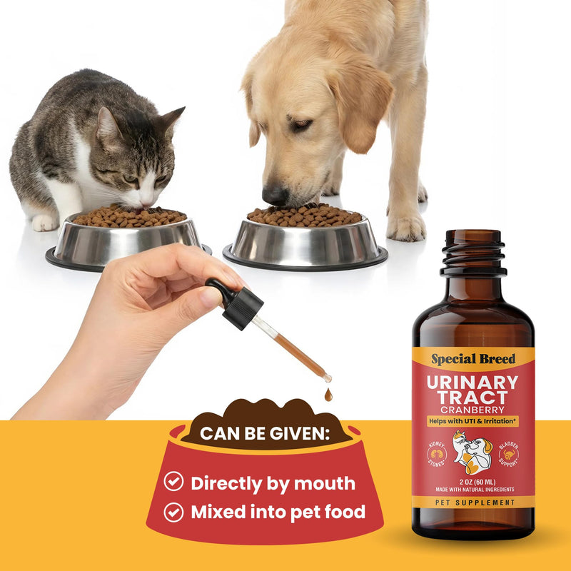Cat & Dog Urinary Tract Infection Treatment – Natural UTI Relief with Cranberry Drops – Kidney & Bladder Support – Helps Incontinence, Frequent Urination, Bladder Stones – Pet Renal Care Drops 2oz