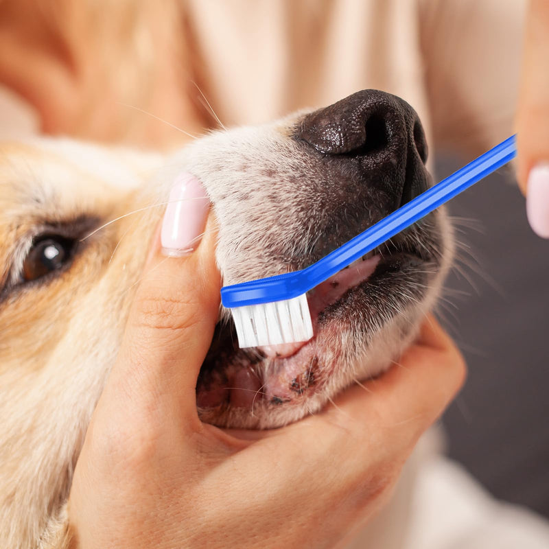 12Pcs Toothbrush for Dogs Small Breed,Dual Headed Pet Toothbrush,Dental Hygiene Soft Toothbrush to Clean Pet Teeth,Dog Tooth Brush for Small to Large Dogs, Cats, and Most Pets, 12 Color - PawsPlanet Australia