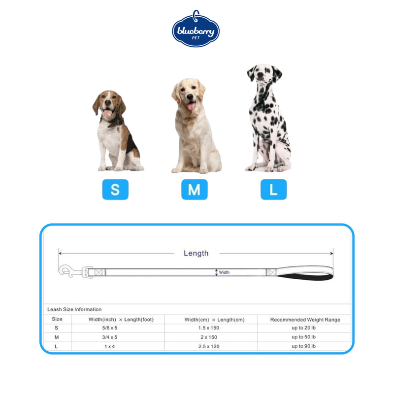 Blueberry Pet Durable Made Well Elegant Floral Print Dog Leash with Lace in Sleek Black, 5 ft x 5/8", Small, Leashes for Dogs Small (Pack of 1)