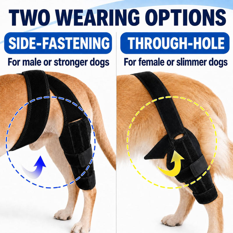 Dog Knee Brace for Hind Leg Support, Adjustable Canine Knee Brace for ACL/CCL Stability Support, Breathable Neoprene Leg Brace with 2 Side Stabilizers (M) M