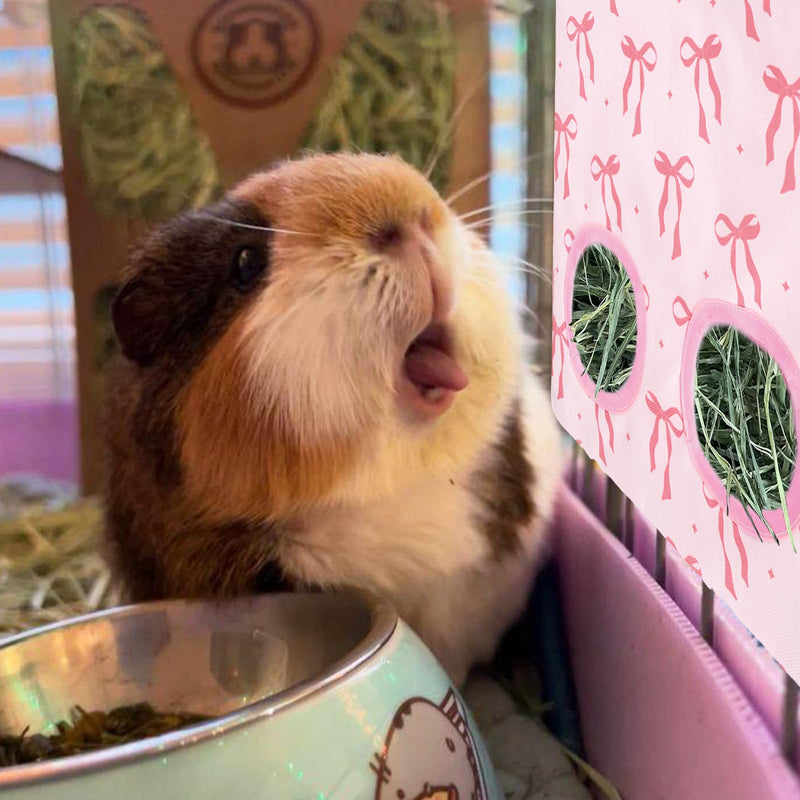 2Pcs Rabbit Hay Feeder Bag with 2 Holes Pink Bow Guinea Pig Hanging Hay Feeding Bag Storage Dispenser for Chinchilla Hamster Bunny Small Animal Pet - PawsPlanet Australia