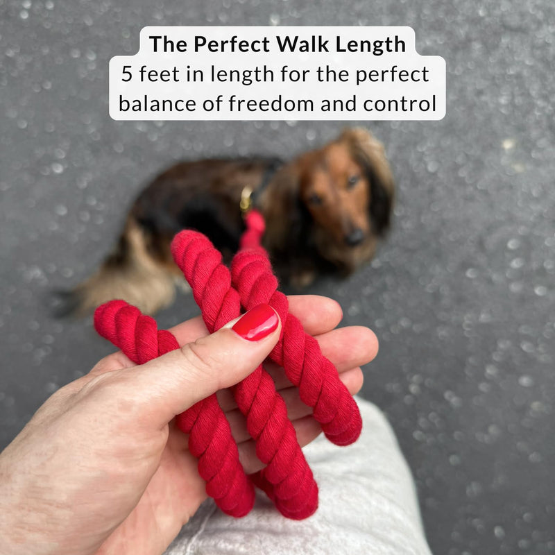 DJANGO Cotton Rope Dog Leash 5ft – Handcrafted Dog Leash and Red Braided Leash for Small, Medium, and Large Dogs – Durable 5 Foot Training Lead with Gold Hardware – Crimson Red - PawsPlanet Australia
