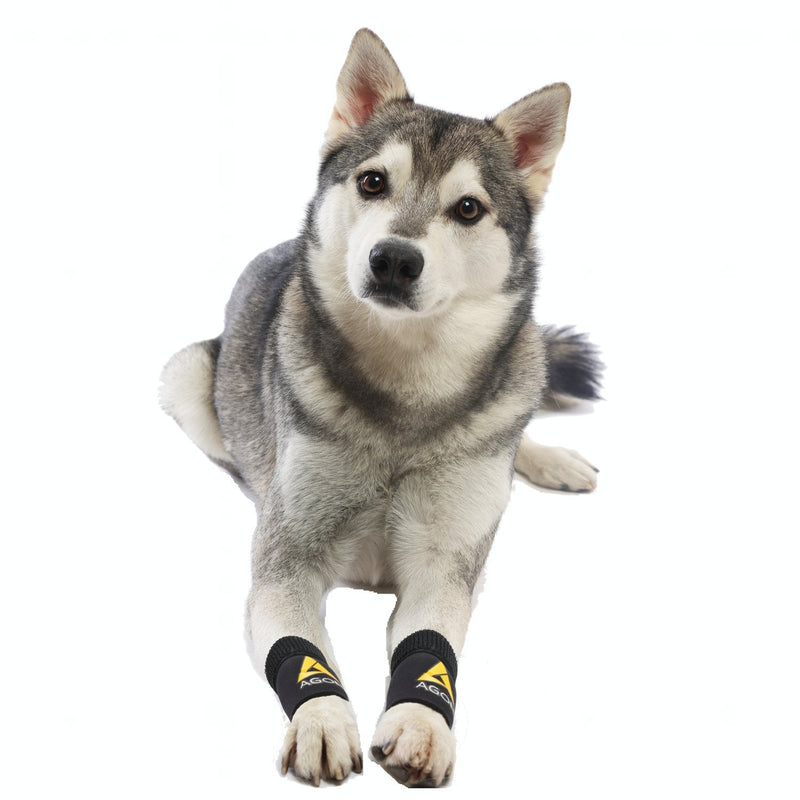 AGON (Pair) Dog Canine Front Leg Brace Paw Compression Wraps with Protects Wounds Brace Heals and Prevents Injuries and Sprains Helps with Loss of Stability Caused by Arthritis (Small/Medium) Small/Medium - PawsPlanet Australia