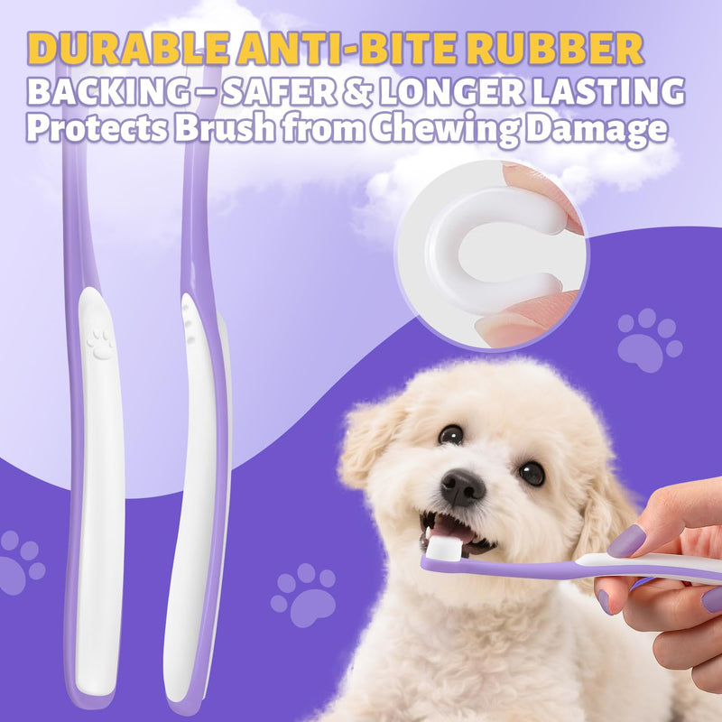 Tiny Dog Toothbrush for Small Dogs + Natural Coconut Oil Cat & Dog Toothpaste