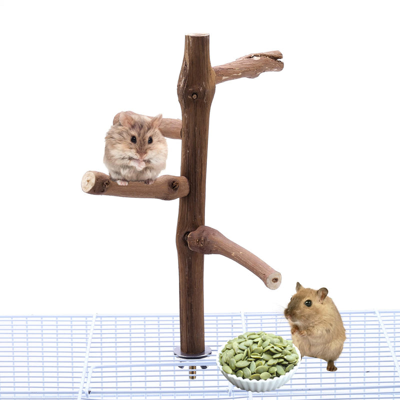 Bird Perch Stand Toy, Natural Grapevine Wood Parrot Perch Bird Cage Branch Accessories for Parakeets Cockatiels Conures Macaws Finches Love Birds(9.8" Length) 9.8"Length - PawsPlanet Australia