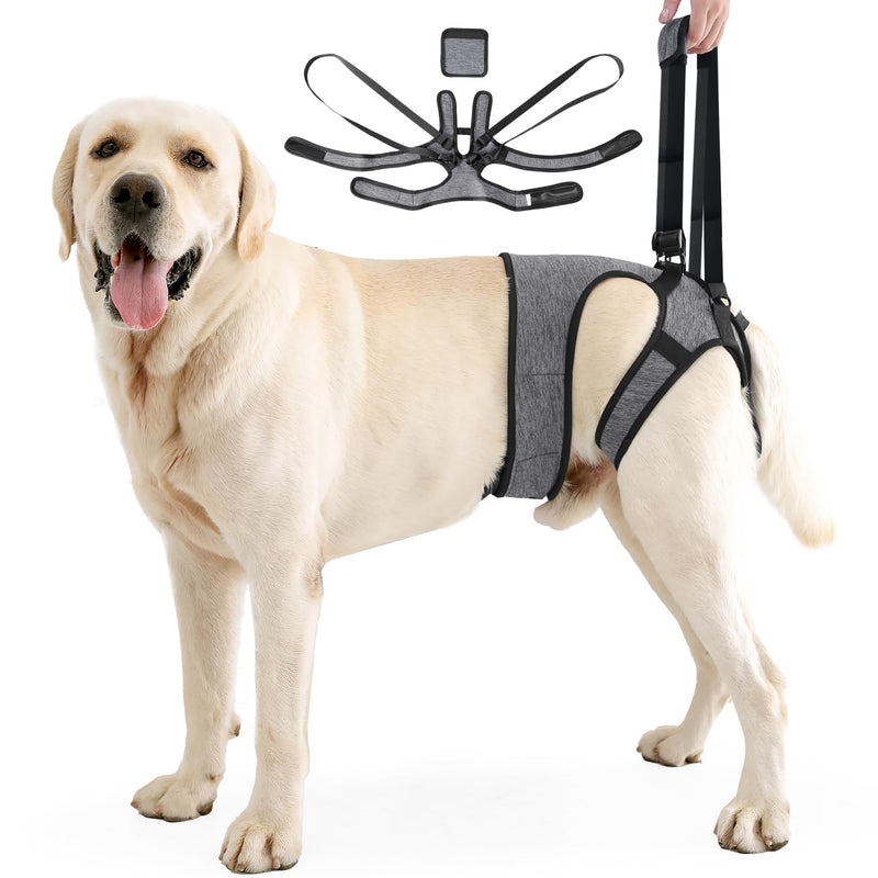 Dog Lifting Harness, Dog Support Harness Slings for Back Legs，Adjustable Dogs Support Strap for Injured Disabled Elderly Dogs (XL) XL