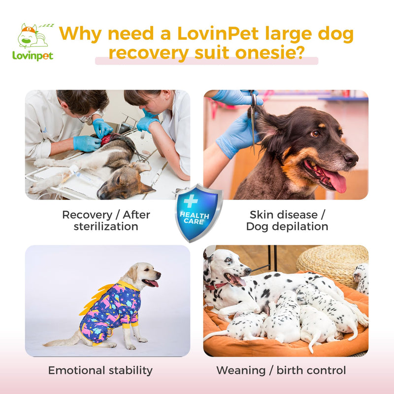 LovinPet Dog Recovery Suit for Large Medium Dogs - Recover Comfortably Well Protection Pet Onesie Dog Shedding Suit Pet Pajamas Dog Anti Licking Snugly Suit,Dog Recovery Suit Male,Unicorn,Yellow,XL XL Yellow collar/Purple - PawsPlanet Australia