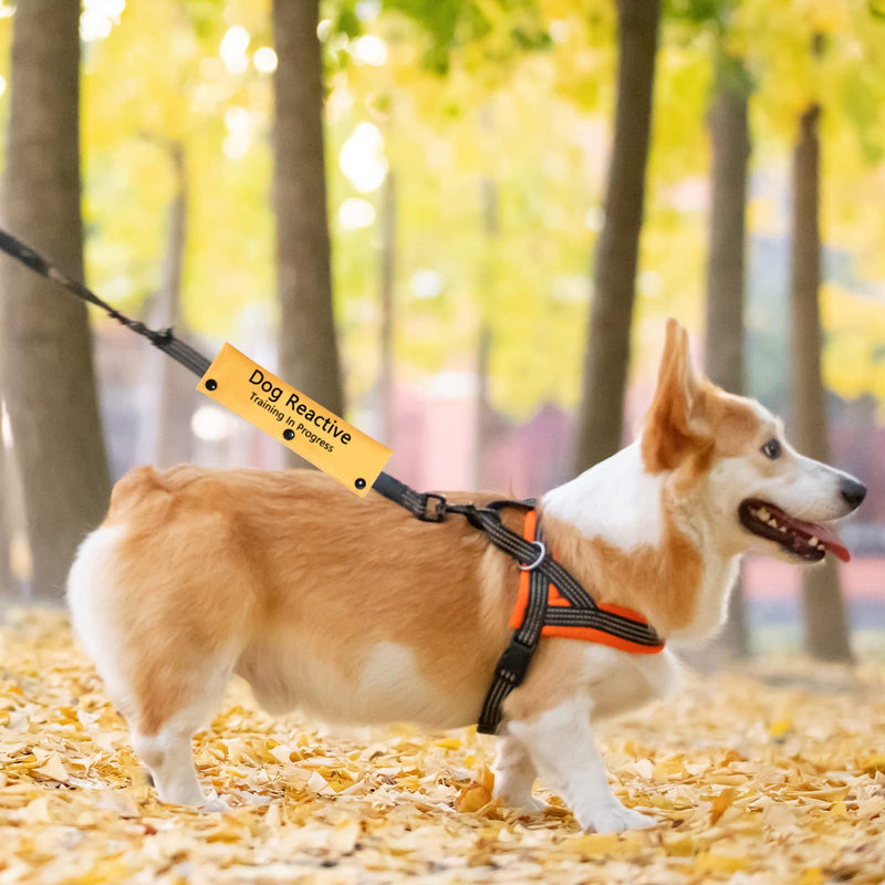 PWHAOO Dog Leash Sleeve Dog Reactive Training in Progress Lead Cover Leash Sign Service Dog Leash Wrap (Dog Reactive Sleeve) Dog Reactive Sleeve - PawsPlanet Australia