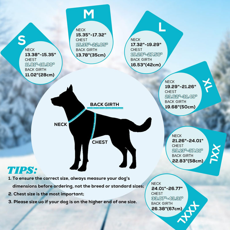 EMUST Dog Coat Winter, Waterproof Pet Snow Jacket for Winter, Adjustable Small/Medium/Large Dog Coat, Turquoise, L Large